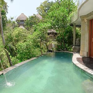 Jungle Pool Suite Daily Afternoon Tea Scheduled Activities